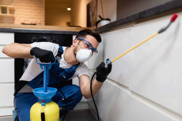Professional Pest Control in Dane, WI