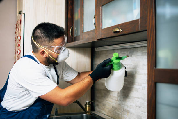 Best Insect Control  in Dane, WI