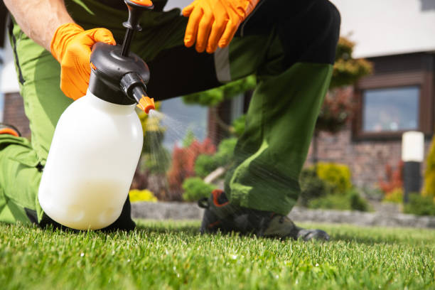 Best Pest Control Near Me  in Dane, WI