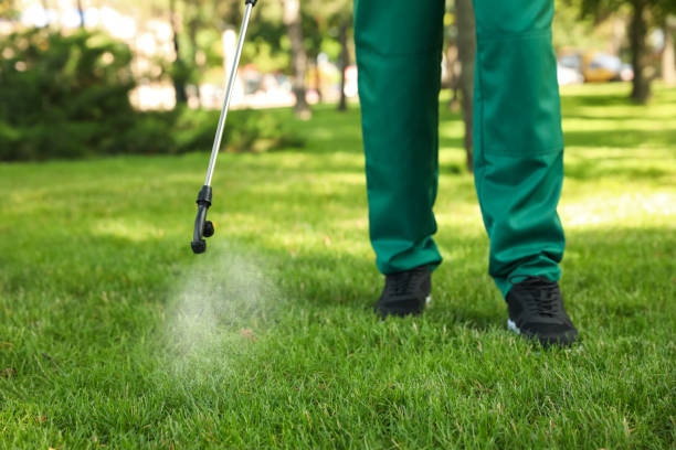 Best Cockroach Control Services  in Dane, WI