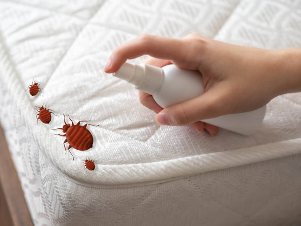 Best Pest Removal Services  in Dane, WI