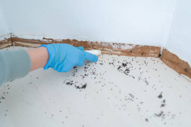 Best Best Pest Control Companies  in Dane, WI